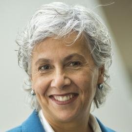 MIT Senior Research Scientist Una-May O'Reilly